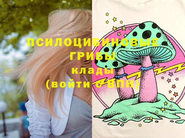 ешки Михайлов