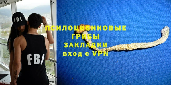 СК Михайловск