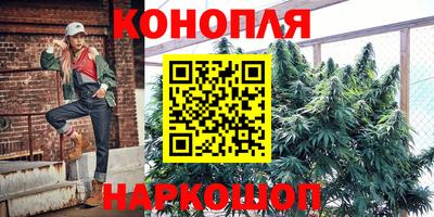 прущие крисы Будённовск