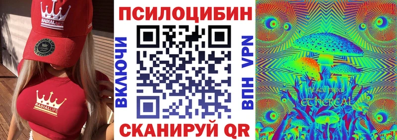 дарнет шоп  Елабуга  OMG как войти  Галлюциногенные грибы ЛСД 