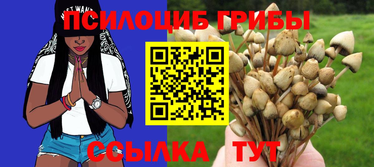 Галлюциногенные грибы мухоморы Елабуга