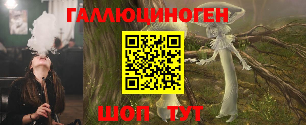 Псилоцибиновые грибы Psilocybine cubensis  Елабуга  Галлюциногенные грибы мухоморы 